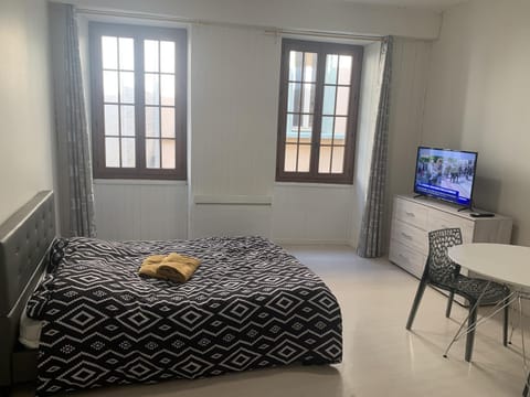 Grand Studio Historique 30m2 - hypercentre Apartment in Chambery