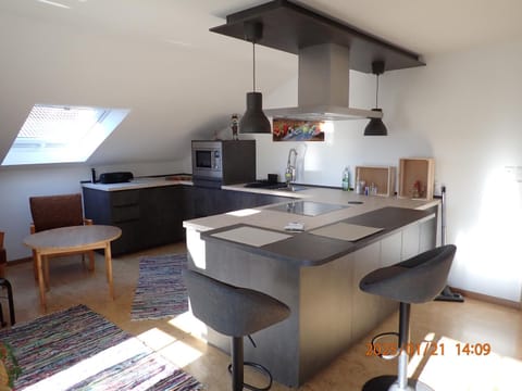 Kitchen or kitchenette, Dining area, oven, stove