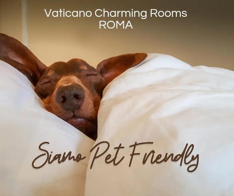 Vaticano Charming Rooms Bed and Breakfast in Rome
