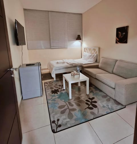 Bed, TV and multimedia, Living room, Seating area, Bedroom