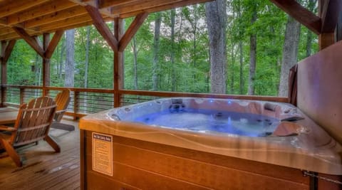 Lux Mountain Retreat in the Aska Adventure Area House in Blue Ridge Lake