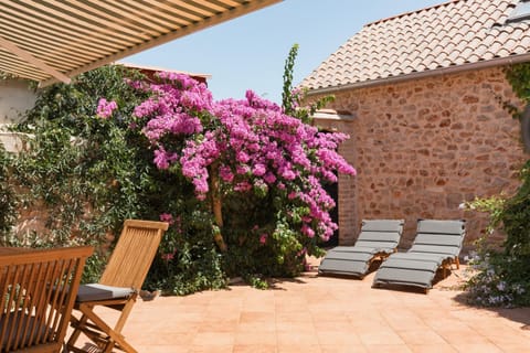 Patio, Garden, Seating area, sunbed