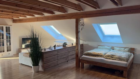 Bed, TV and multimedia, Living room, Photo of the whole room