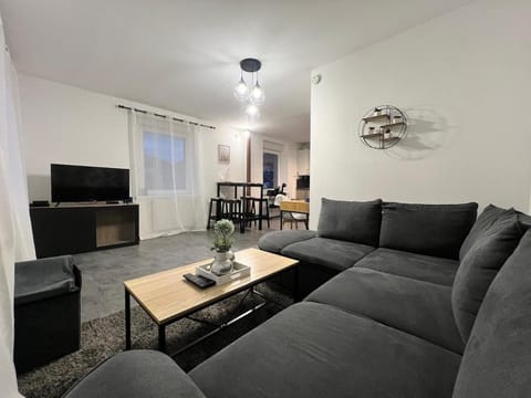 Spacieux appartement à Belfort Apartment in Switzerland