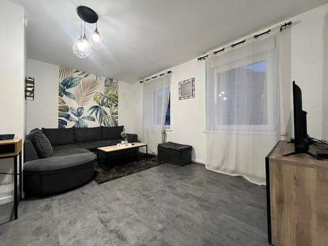 Spacieux appartement à Belfort Apartment in Switzerland