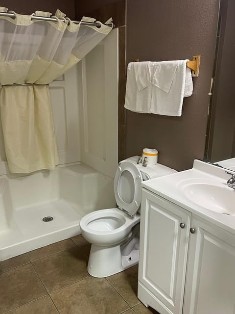 Shower, Toilet, Bathroom, towels