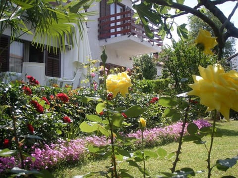 Neighbourhood, Garden view