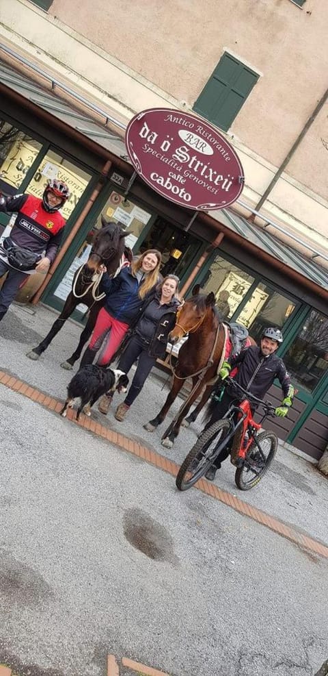 Il cielo in una stanza Bed and Breakfast in Genoa