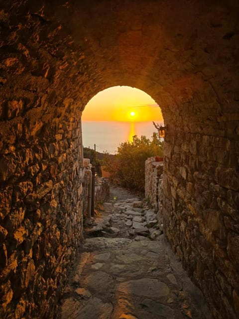 Neighbourhood, Sunset