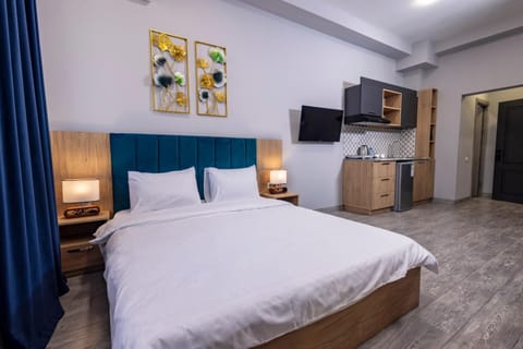 Bed, TV and multimedia, Kitchen or kitchenette, Photo of the whole room, Bedroom