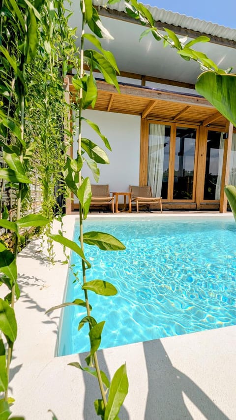 Property building, Patio, Garden, Garden view, Pool view, Swimming pool, sunbed