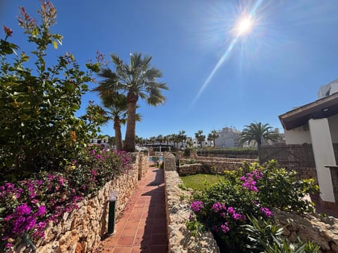 Garden view