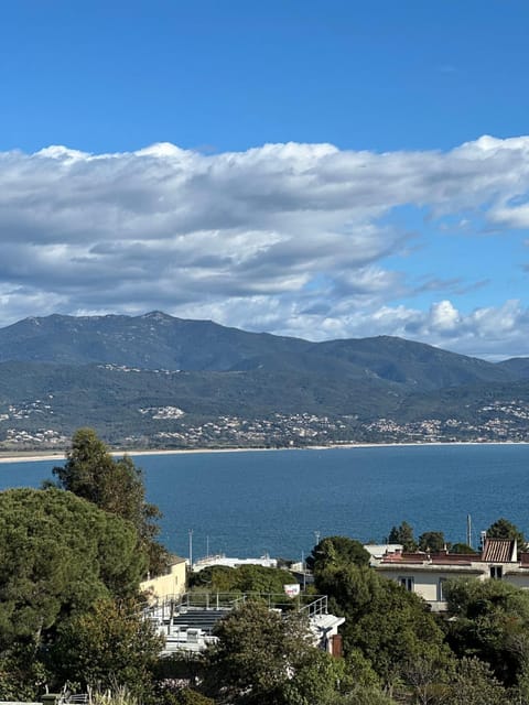 Torriciola location Genovese Apartment in Ajaccio