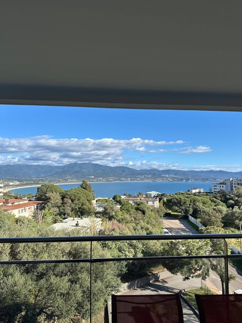 Torriciola location Genovese Apartment in Ajaccio