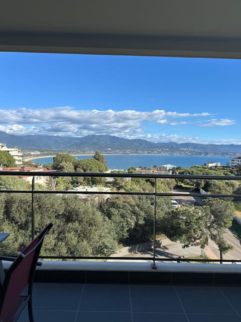 Torriciola location Genovese Apartment in Ajaccio