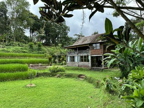 Property building, Day, Natural landscape, Garden, Garden view
