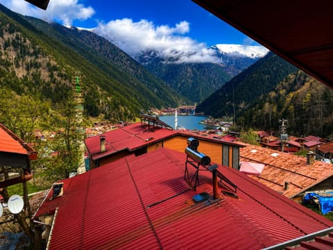 Natural landscape, Lake view, Mountain view