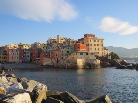 Nearby landmark, Day, Natural landscape, Snorkeling, Beach, Diving, City view, Landmark view, Sea view, Sports