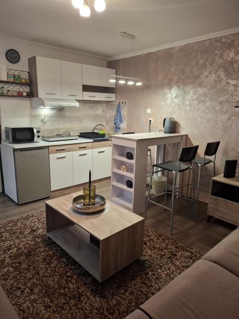 Apartman Sara Apartment in Vojvodina