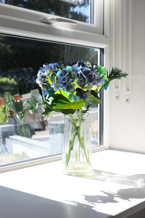 An Teach Ban House in Ireland