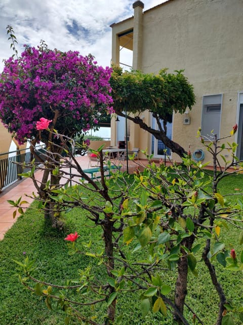 Property building, Garden, Garden view