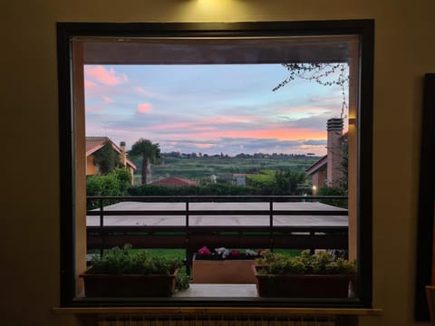 Natural landscape, Garden view, Sunset