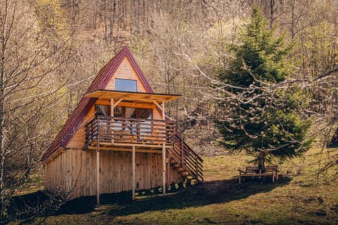 Property building, Spring, Day, Natural landscape, Garden, Garden view