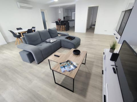 Communal lounge/ TV room, Living room, air conditioner