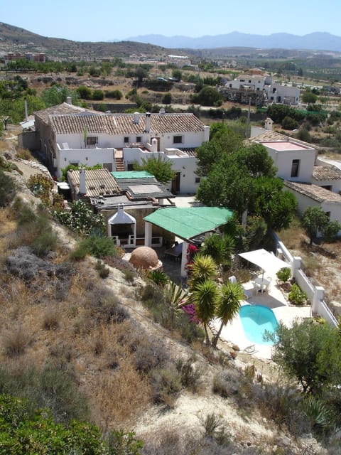 Bird's eye view, Garden, Swimming pool