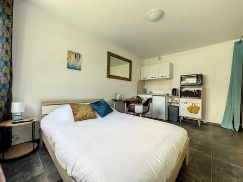 Nice appartement proche gare Near Basel Wi-fi Apartment in Saint-Louis