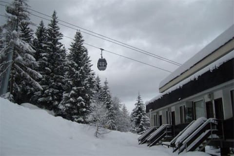 Appartamento Residence Sacha a Marilleva 1400 by Happy Holidays Apartment in Province of Brescia