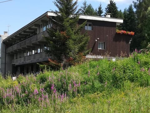 Appartamento Residence Sacha a Marilleva 1400 by Happy Holidays Apartment in Province of Brescia