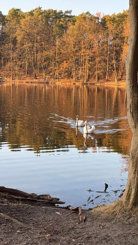 Day, Natural landscape, Lake view
