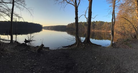 Nearby landmark, Spring, Day, Natural landscape, Lake view