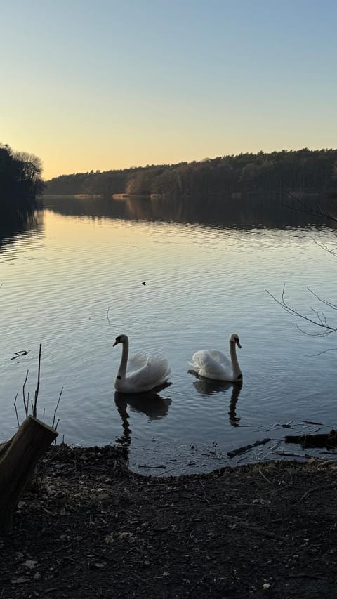 Nearby landmark, Natural landscape, Lake view