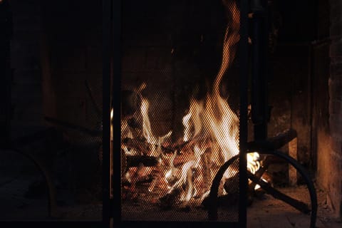 Casa Artista House in Marche