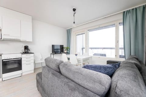 Tilava huoneisto järvinäköalalla Apartment in Finland