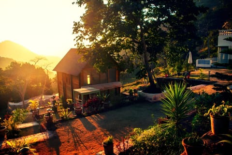 Natural landscape, Garden, Garden, Garden view, Mountain view