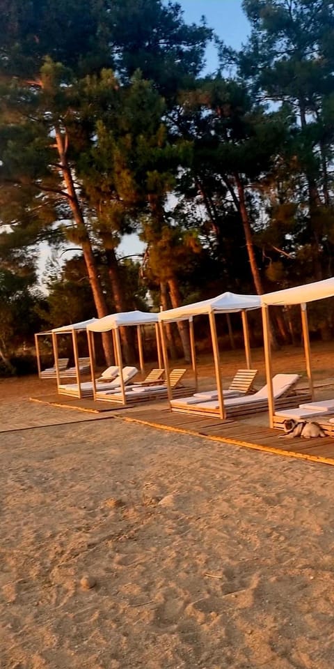 Villa King Filippos - Royal Beachfront - Sithonia Chalkidiki House in Halkidiki