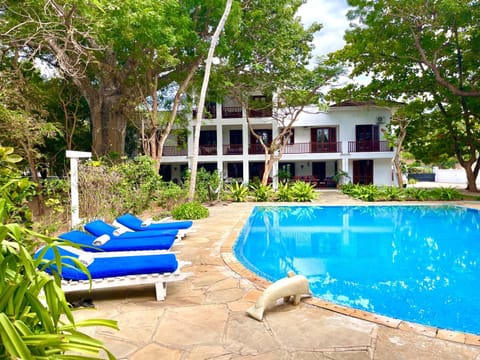 Property building, Patio, Day, Garden, Garden view, Pool view, Swimming pool, sunbed