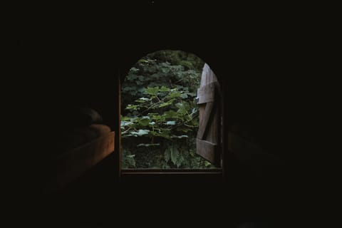 Natural landscape, Garden, Garden view