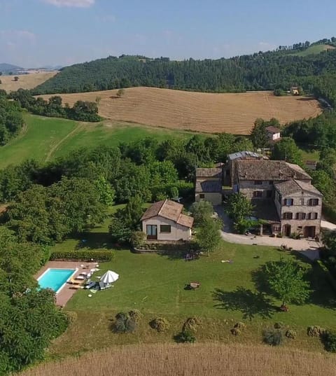 Garden, Swimming pool