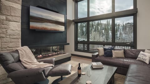 TV and multimedia, View (from property/room), fireplace, furniture