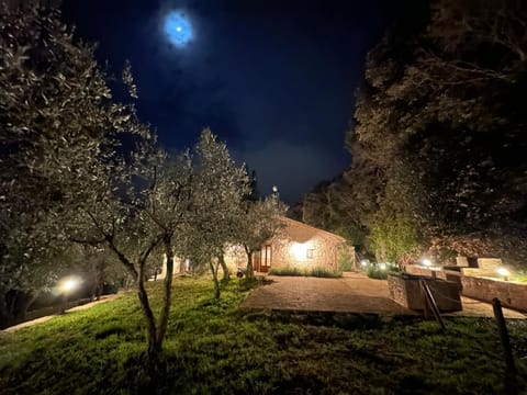 Night, Natural landscape, Garden, Garden view