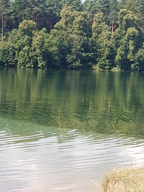 Lake view