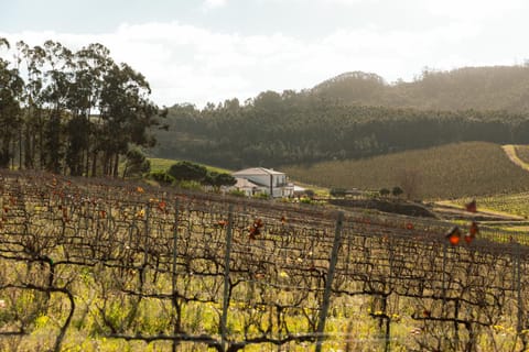 Natural landscape, Garden