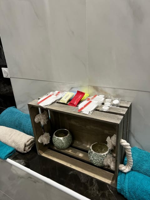 Magnifique appartement Apartment in Centre-Val de Loire