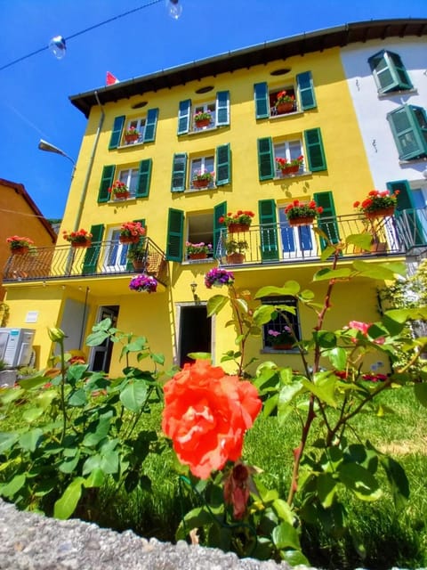Property building, Garden view
