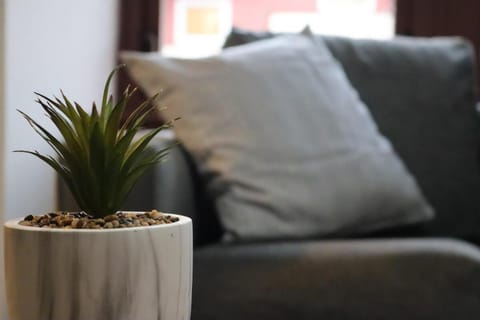 Sonas Apartment Apartment in Greenock