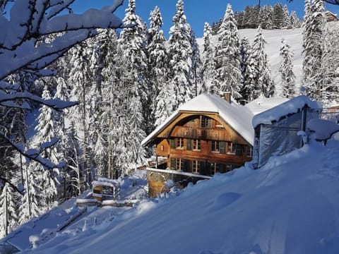 Property building, Natural landscape